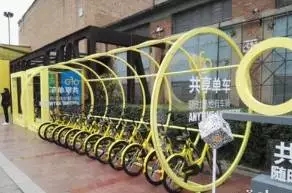 2017年第11版尼斯分類都有哪些亮點？