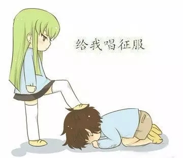 我的老婆是知識產權律師