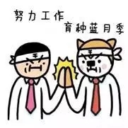 情人節！你收到的是“玫瑰”還是“月季”？