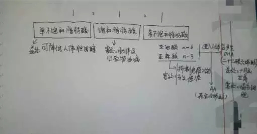 你以為的金龍魚1:1:1就是1:1:1嗎？
