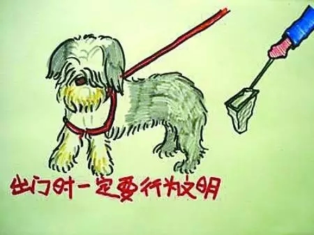 如何做一名合格的鏟屎官？