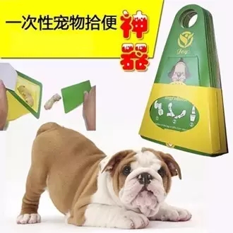 如何做一名合格的鏟屎官？