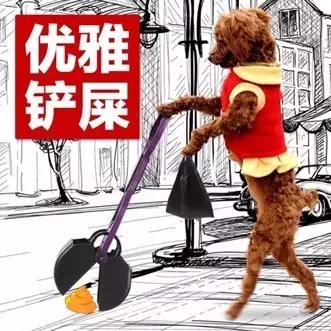 如何做一名合格的鏟屎官？
