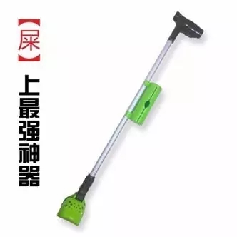 如何做一名合格的鏟屎官？