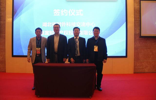 2017湖北國際技術轉移對接洽談會《國際創新與專利運營》專場