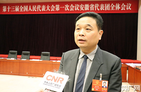 全國人大代表潘保春：漢字商標使用應納入強制標準！