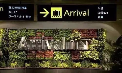 賞析 | 國際機場中的黑科技和藝術裝置
