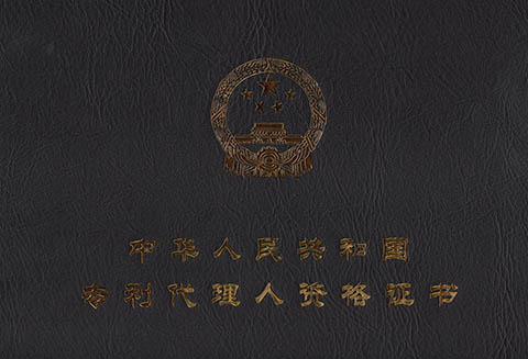 不從事專利代理工作的專利代理人，路在何方？