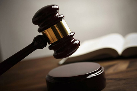 獲賠700000元！“小豬佩奇”商標侵權案宣判（附一審判決書）