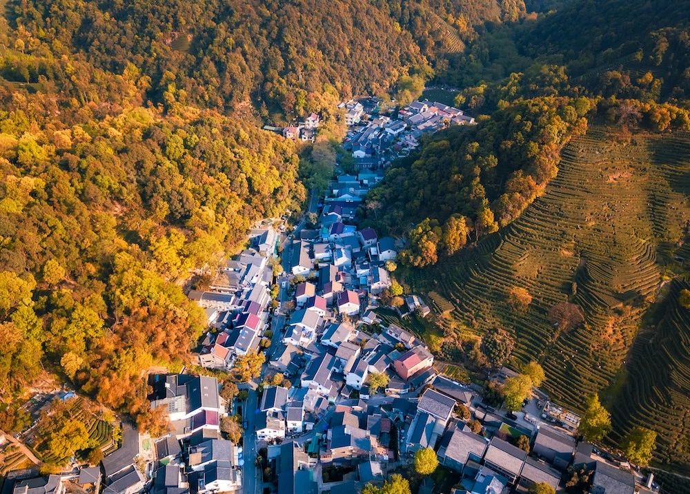 中國歷史上最嚴重的一次知識產權失竊案