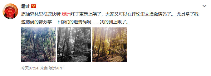 版權問題困擾，微博旗下的“綠洲”APP會變“荒漠”嗎？