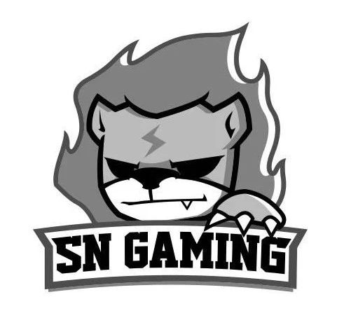 “Gaming”商標有不良影響駁回，到底是游戲還是賭博？（附判決書）