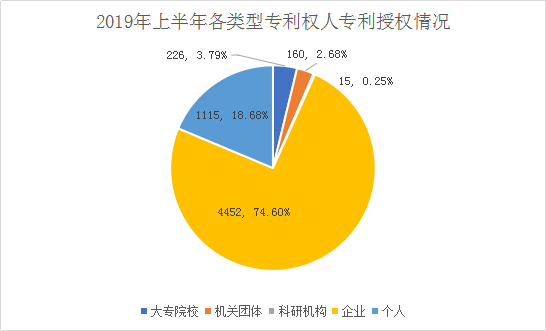 廣州市白云區2019年上半年專利數據分析報告