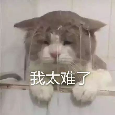 你的字體，侵權了嗎？