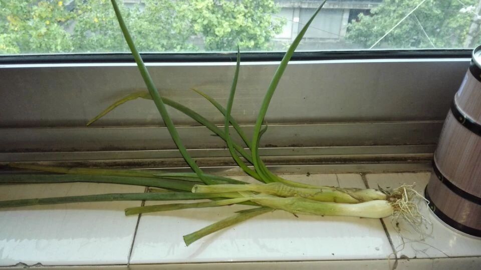 芹菜面膜已經申請專利，大蔥面膜還會遠嗎？