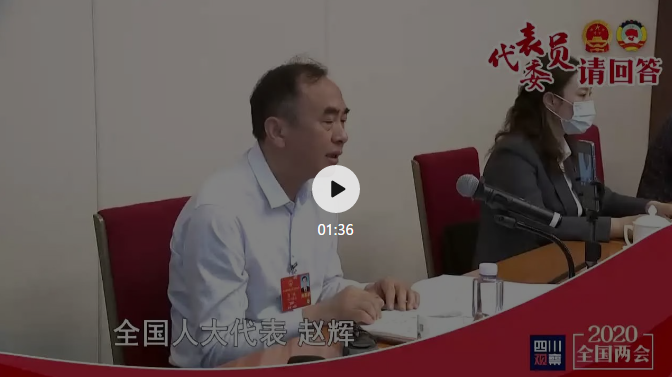 全國人大代表代表趙輝：搞好知識產權，才能占領高端市場