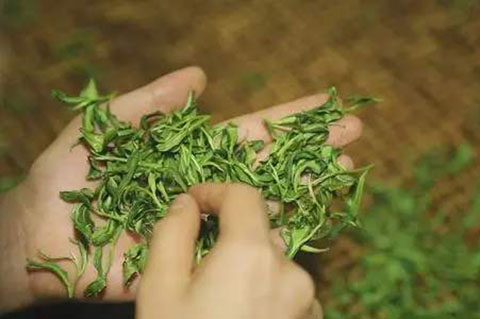 重磅！首批中國100個地理標志受歐盟保護，歐盟授權正式簽署中歐地理標志協定