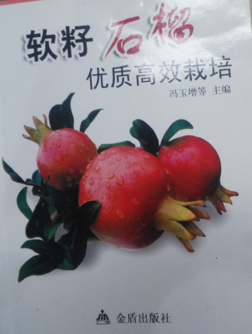 石榴形酒瓶可申請專利嗎？