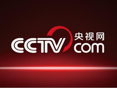 央視網聲明：“中央電視臺網”嚴重侵權，已舉報！