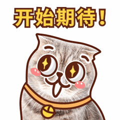 布展指引來了！2020粵港澳大灣區知識產權交易博覽會邀您展示！