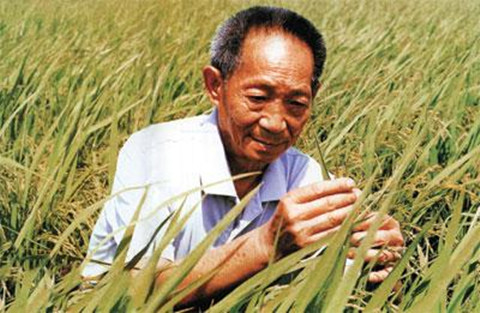 為什么說袁隆平是世界公認的科學巨人和發明大家？