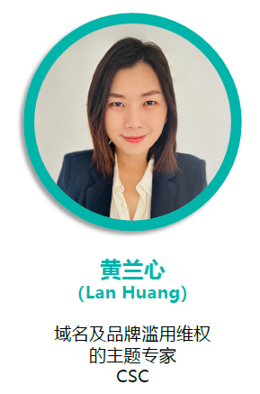 在中國境內外開展在線品牌保護的差異
