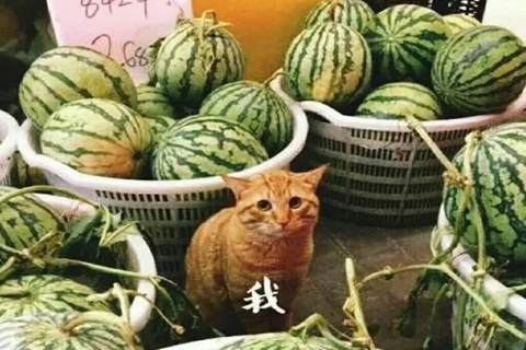 “想你的液”已被注冊商標，“想你液”也在申請中！