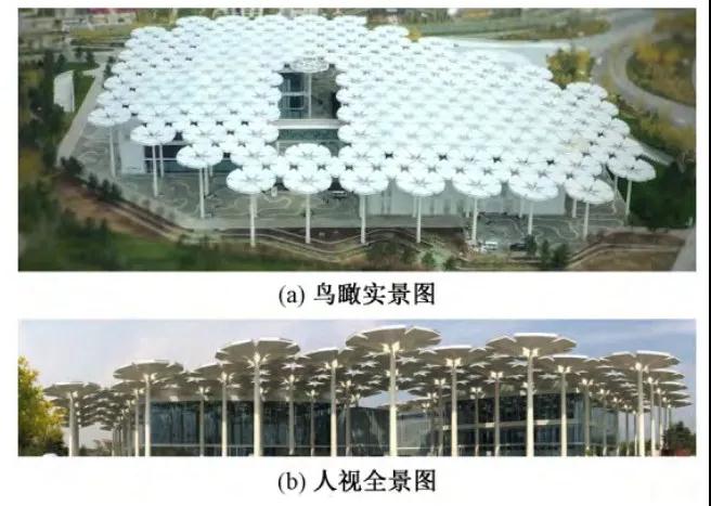 北京世園會的專利差點因新聞“搶先看”被駁回？