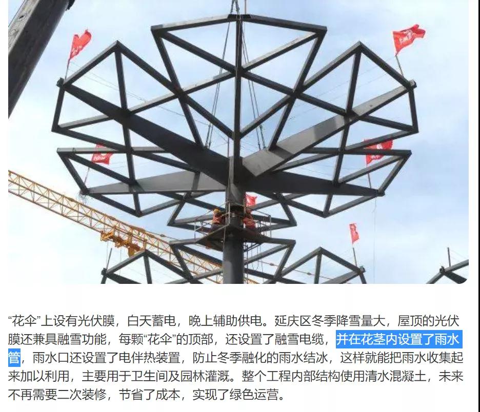 北京世園會的專利差點因新聞“搶先看”被駁回？