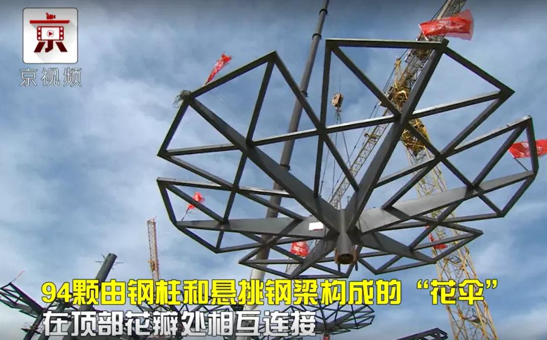 北京世園會的專利差點因新聞“搶先看”被駁回？