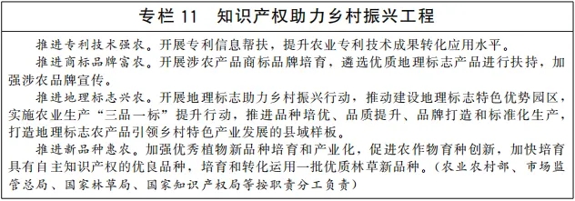 《“十四五”國家知識產權保護和運用規劃》全文
