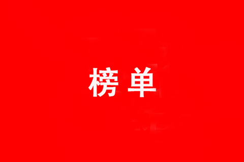 國家級專精特新小巨人A股上市企業專利榜單