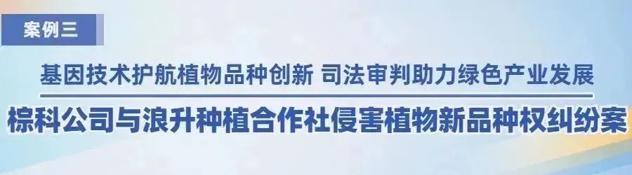 廣州知識產權法院2022年度十大典型案例