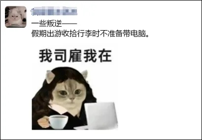 五一假期，快來圍觀知產人的勞動日常！