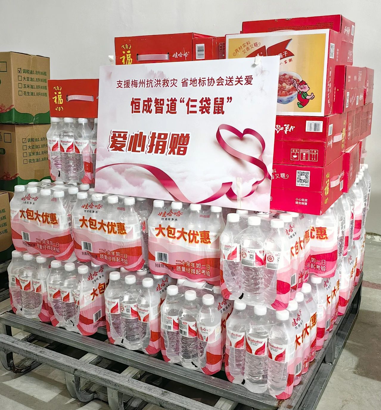 支援梅州抗洪救災 省地標協會送關愛