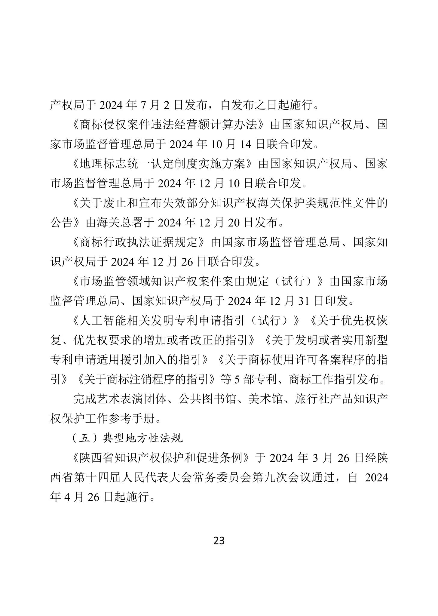 二〇二四年中國知識產權保護狀況_26